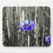 Blaue Kornblume Mousepad (Vorne)