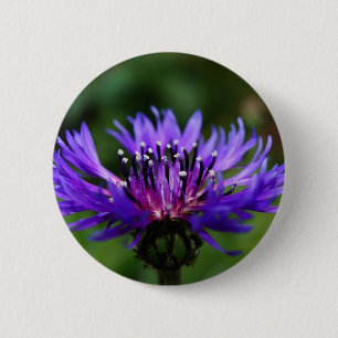 Blaue Kornblumen-Blüten Frieden Liebe Schicksal Button