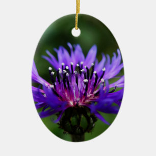 Blaue Kornblumen-Blüten Frieden Liebe Schicksal Keramik Ornament