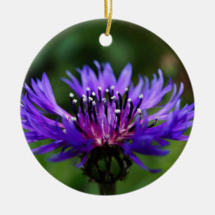 Blaue Kornblumen-Blüten Frieden Liebe Schicksal Keramikornament