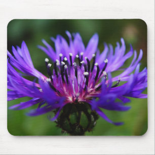 Blaue Kornblumen-Blüten Frieden Liebe Schicksal Mousepad