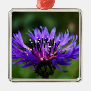 Blaue Kornblumen-Blüten Frieden Liebe Schicksal Ornament Aus Metall