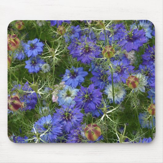 Blaue Kornblumen Mousepad (Vorne)
