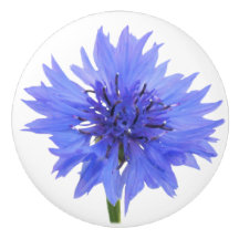 blaue Kornblumen-Türklinke