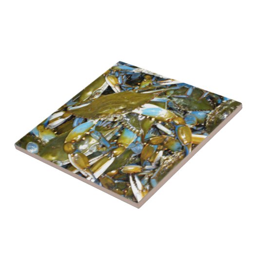 blaue Krabbe Fliese (Seite)