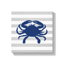 Blaue Krabbe Grau und weiße Streifen