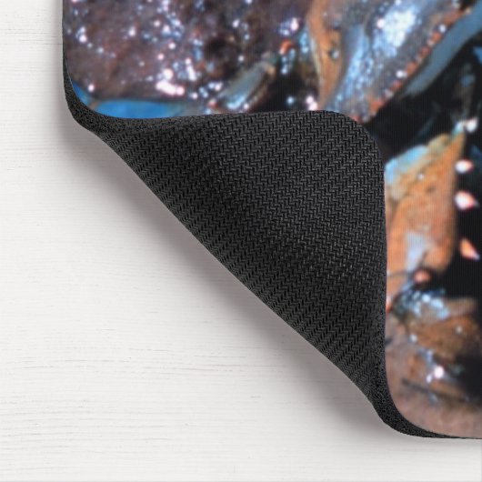 Blaue Krabbe Marylands Mousepad (Ecke)