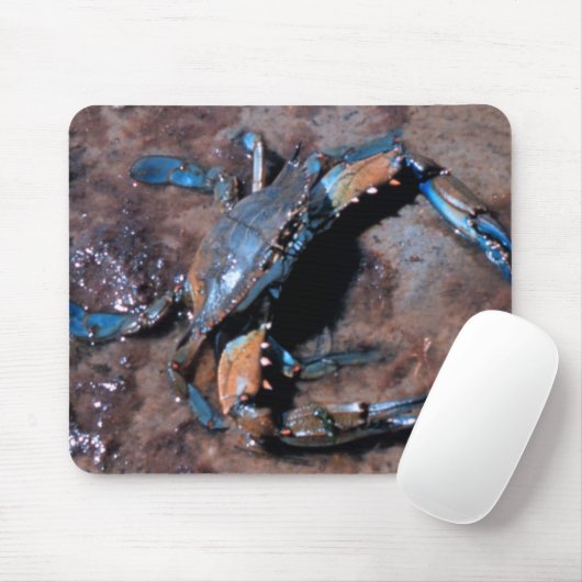 Blaue Krabbe Marylands Mousepad (Mit Mouse)