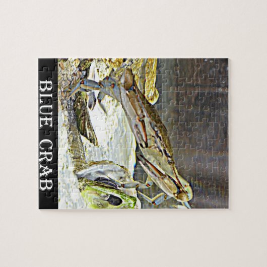 Blaue Krabbe Marylands Puzzle (Horizontal)