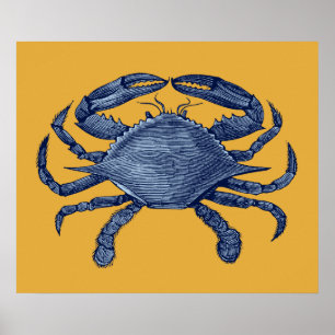 Blaue Krabbe Poster