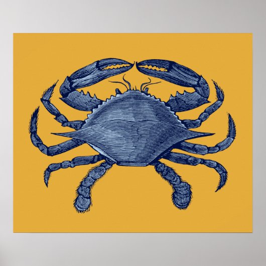 Blaue Krabbe Poster (Vorne)