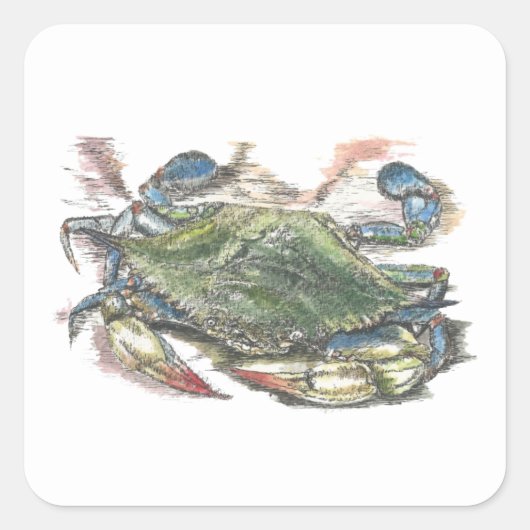 Blaue Krabbe Quadratischer Aufkleber (Vorderseite)