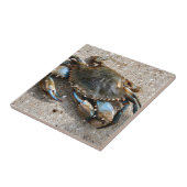 Blaue Krabben-Kriechen Fliese (Seite)