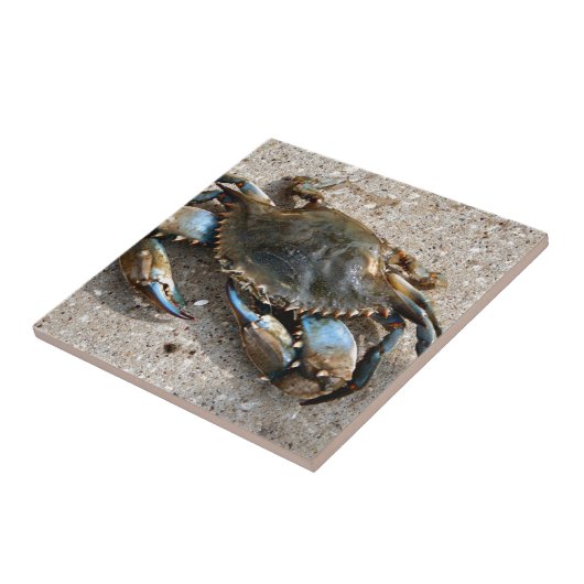 Blaue Krabben-Kriechen Fliese (Seite)