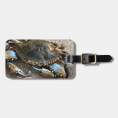 Blaue Krabben-Kriechen Gepäckanhänger (Vorderseite horizontal)