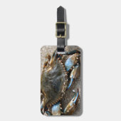 Blaue Krabben-Kriechen Gepäckanhänger (Vorderseite vertikal)