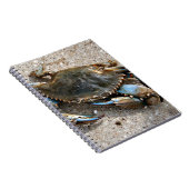 Blaue Krabben-Kriechen Notizblock (Rechte Seite)