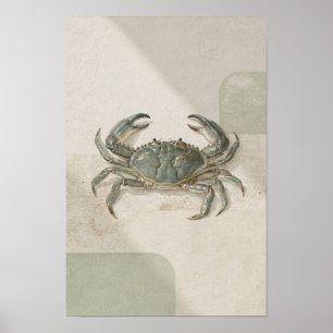 Blaue Krabben-Küstenwandkunst in Salbei und Creme Poster