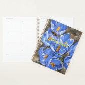 Blaue Krokus und eine Biene Planer (Anzeige)