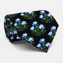Blaue Krokusse schwarze Krawatte