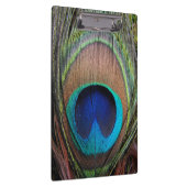 Blaue kupferne Pfau-Feder-Nahaufnahme Klemmbrett (Rechts)