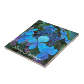 Blaue Lacecap-Hortensien-Blüte Fliese (Seite)