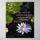 Blaue Lavendel Gelbe Mitte Wasserlilie Blume Poster (Vorne)