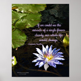 Blaue Lavendel Gelbe Mitte Wasserlilie Blume Poster