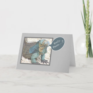 BLAUE LEGUAN/KOPF GENEIGT/"BITTE SCHÖN?/GENESE SOO KARTE