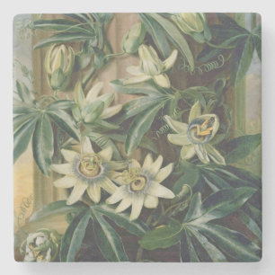 Blaue Leidenschafts-Blume für den "Tempel der Steinuntersetzer