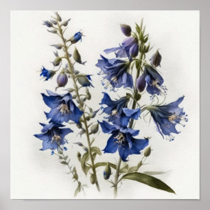 Blaue Lerchensporn-Blumen-Kunstposter Poster