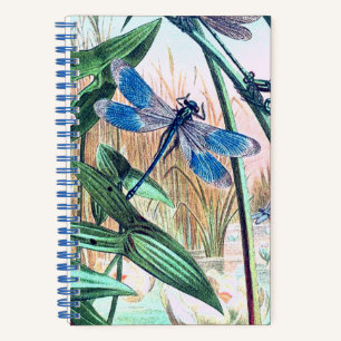 Blaue Libelle am Teich Vintage-Illustration Notizblock