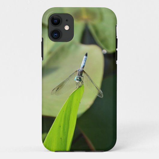 Blaue Libelle auf einem grünen Blatt. Case-Mate iPhone Hülle (Rückseite)
