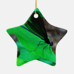 Blaue Libelle auf einem grünen Blatt. Keramikornament