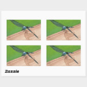 Blaue Libelle auf einem Rail Stickers (Blatt)