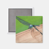 Blaue Libelle auf Eisenbahnmagneten Magnet (Vorderseite/Rückseite)