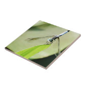 Blaue Libelle auf grünem Blatt Fliese (Seite)