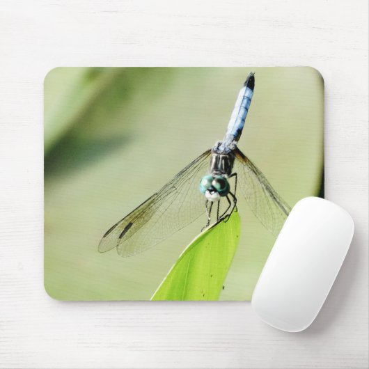 Blaue Libelle auf grünem Blatt Mousepad (Mit Mouse)