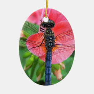 Blaue Libelle auf rosa Blume, grüner Hintergrund Keramik Ornament