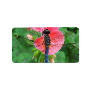 Blaue Libelle auf rosa Blumengrünhintergrund Adressaufkleber