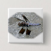 Blaue Libelle Button (Vorderseite)