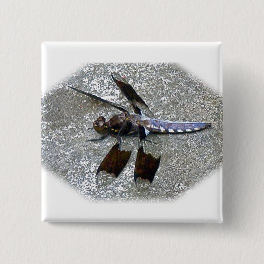 Blaue Libelle Button (Vorderseite)