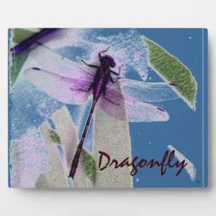 Blaue Libelle Fotoplatte