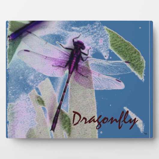 Blaue Libelle Fotoplatte (Vorderseite)