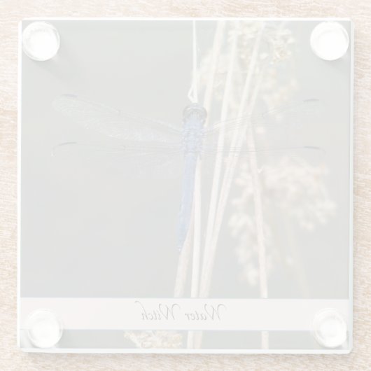 Blaue Libelle Glasuntersetzer (Rückseite)