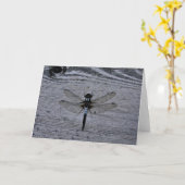 Blaue Libelle Karte (Gelbe Blume)