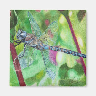 Blaue Libelle Magnet