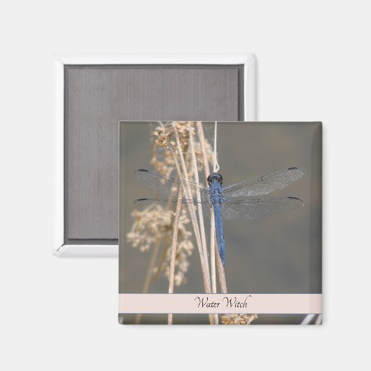 Blaue Libelle Magnet (Vorderseite/Rückseite)