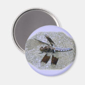 Blaue Libelle Magnet (Vorderseite/Rückseite)