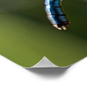 Blaue Libelle Poster (Ecke)